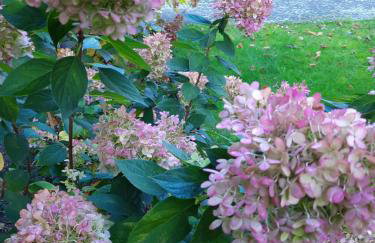 Das kleine, gemütliche Ferienhaus - Foto 13