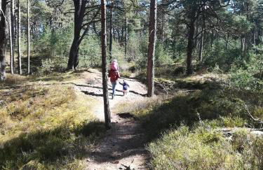 Ferienanlage Familie Kempa - Foto 61