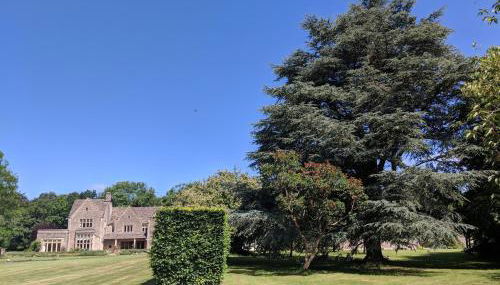 5 star Cotswold luxury with orchard garden - Foto 5, Garden