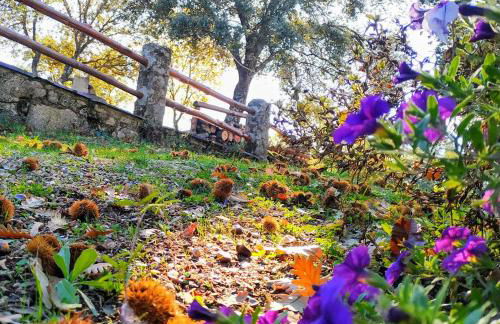 La Simona Casa Rural - Foto 29