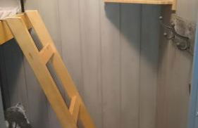 La Serre Nelly Philippe - Foto 8