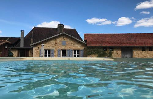 Le Pompon D'Or - Foto 10