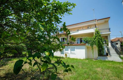 Gold n Blu Petalidi - Foto 51