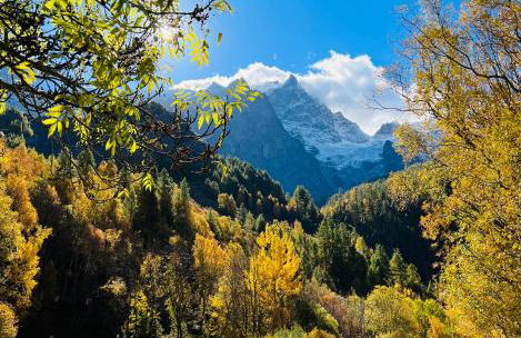 Appartement lumineux, grand balcon, vue sur La Meije - Photo 7