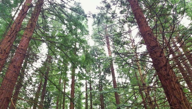 Tour in Santander - Foto 2