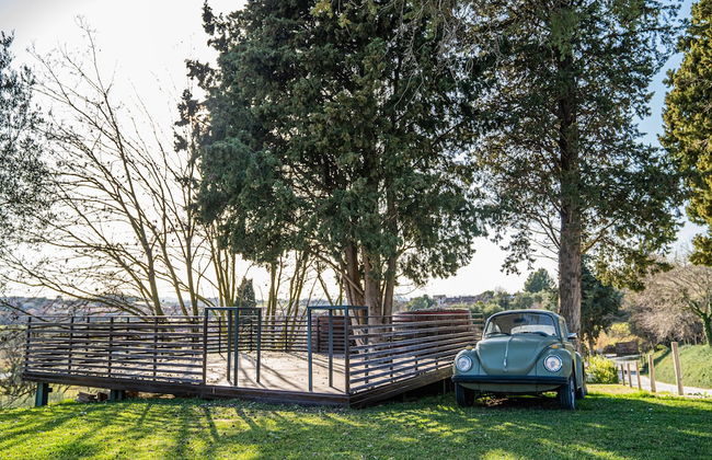 Terra di Gradara - Foto 65