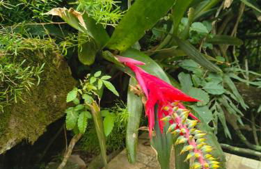 Chalé de 2 dormitórios com piscina e churrasqueira - Foto 12