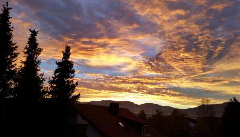 Haus Lindengarten - Foto 3