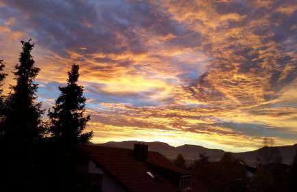 Haus Lindengarten - Foto 3