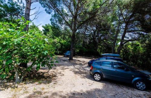 Family friendly seaside apartments Dingac - Borak, Peljesac - 18060 - Foto 17