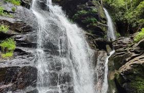 Healing Acres - Foto 56