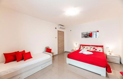 Piccola Orchidea - Photo 45