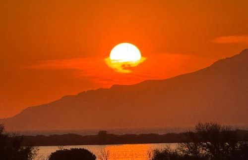 Breathe easy living - Foto 39