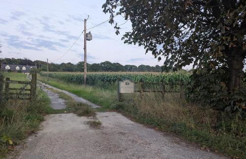 Springfield Lodge - Photo 8