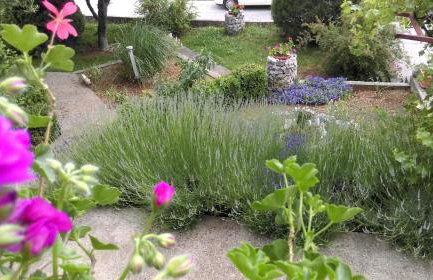 Apartment Krišković - Photo 27