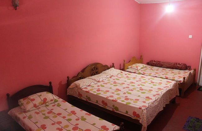 Yoho Rain Forest Eco Lodge - Foto 3