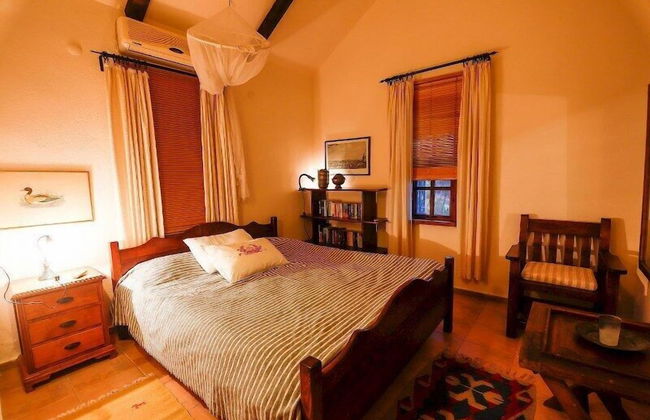 Terra Ultima - Photo 3