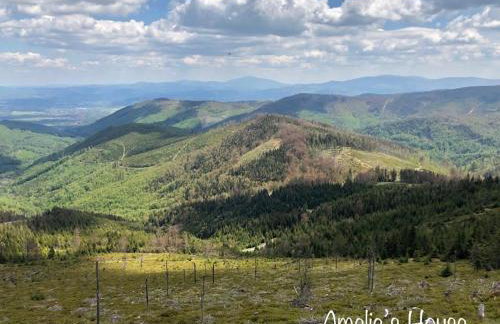 Amelie's House - Foto 53