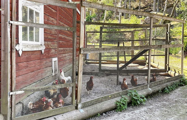 5 Person Holiday Home in Horn-by Traum - Foto 25