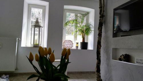 Wildblick Appartment Hof Grindelborn - Foto 3