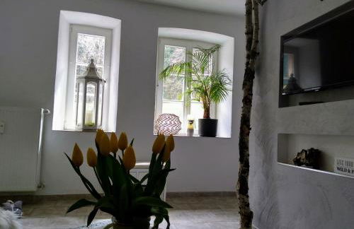 Wildblick Appartment Hof Grindelborn - Foto 3