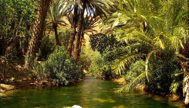 Tour di 2 giorni e 1 notte a Tafraoute e Canyon di Ait Mansour - Foto 2