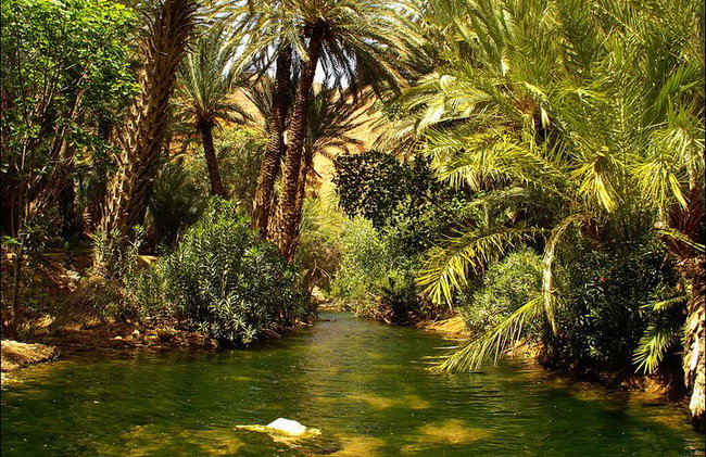 Tour de 2 días y 1 noche en Tafraoute y Cañón de Ait Mansour - Foto 2