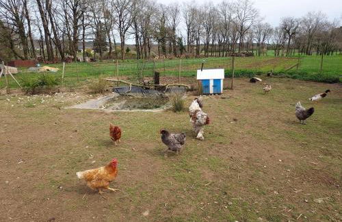 Au petit nid - Foto 28