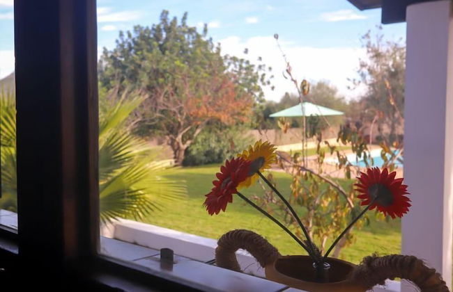 Finca ES Torrent Paz y Tranquilidad - Foto 13