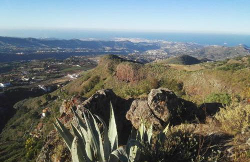 Cho Almeida - Foto 41