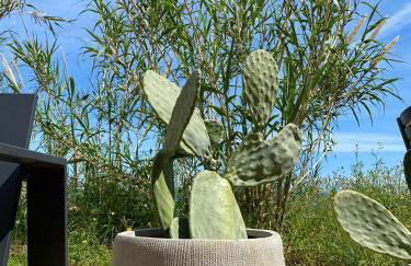 Casello 79 Rais - Foto 25