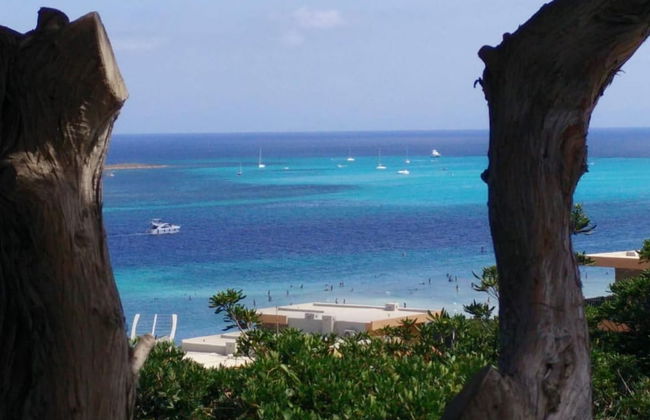 Sardinian Villa Enjoy Stintino With Your Pets ! - Photo 23