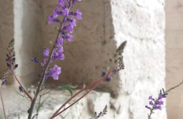 Trulli di Puglia - Casa vacanze in Valle d'Itria - Foto 44