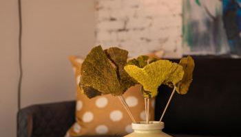 Sunny Fully Furnished Studio in Chelsea - Photo 3, Other