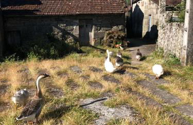 Casa do Porto - Foto 78