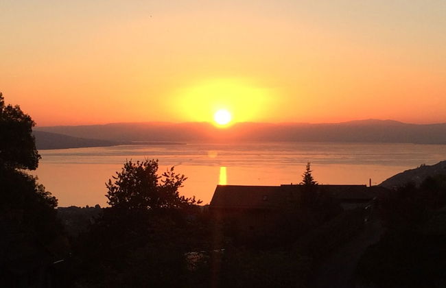 Montreux holiday home - Foto 54