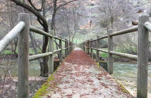 El enebrón - Hoces del río Duratón - Foto 25