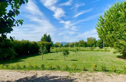 La Segreta - Foto 24