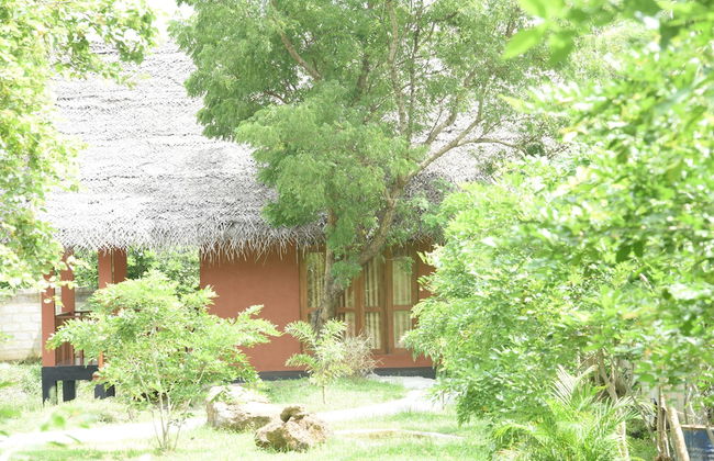 The Bell Farm Eco Resort - Foto 23