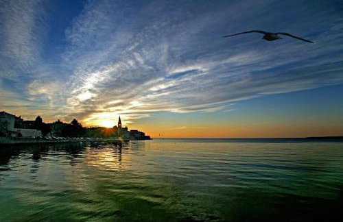 Apartments Villa Mimi - Photo 75