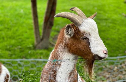 2 Bed in Presteigne oc-75066 - Foto 23