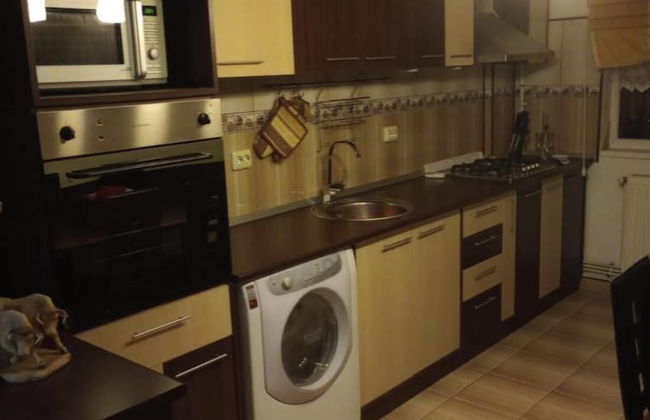 Iosif House RGC 1 Reșița - Photo 17