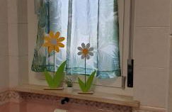 Green House - Photo 17