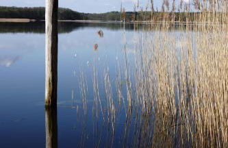 Ferien in Himmelpfort - Foto 80