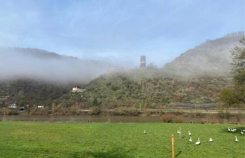 Ferienwohnung Moselglück - Foto 25