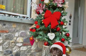 Holiday Home Sovenigo - Foto 12