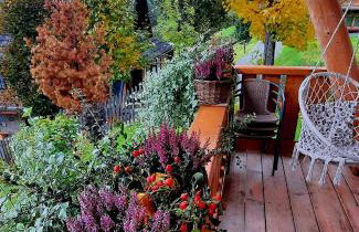 Domek Kojsówka - Foto 28