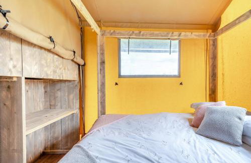 Muntjac - Uk47396 - Foto 11