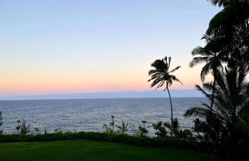 Grand Oceanfront Gated Estate on the Hamakua Coast - Foto 23