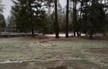 Riffle Road Ranch - Foto 15